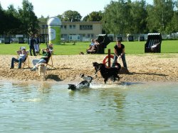 Hundestrand