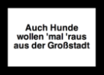Auch Hunde wollen 'mal 'raus aus der Großstadt