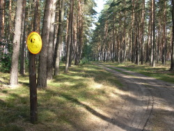 wandern mit Hunden